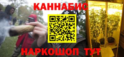 молекула духа Будённовск