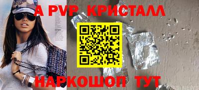 молекула духа Будённовск