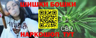молекула духа Будённовск